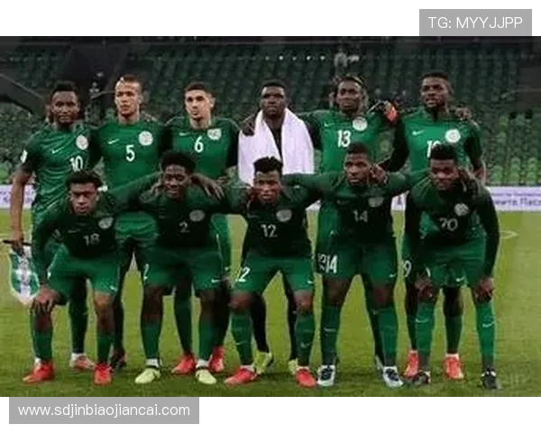 阿尔及利亚与尼日利亚精彩对决直播全程回顾与分析