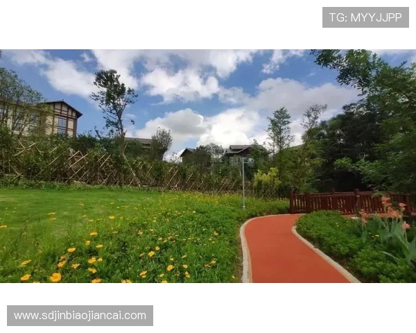 南京街舞队在马拉松大满贯中的奋斗与荣耀之路全景回顾